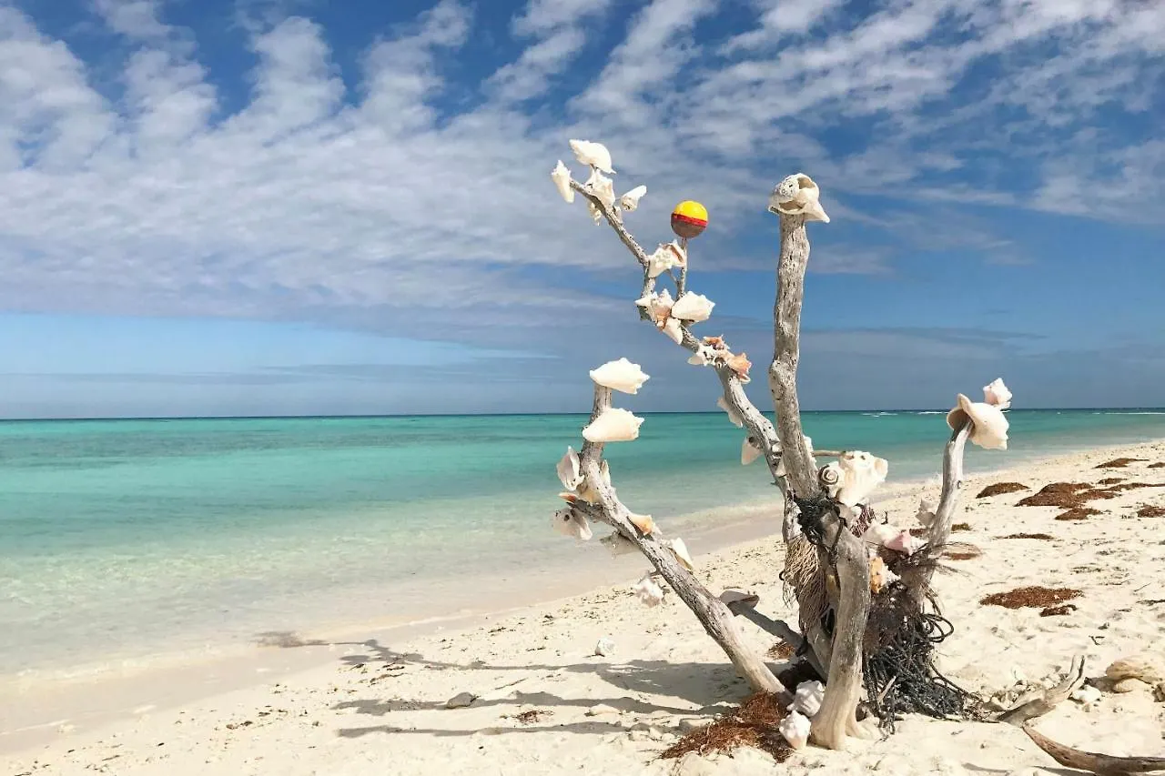 Southernmost Retreat Apartment Key West United States